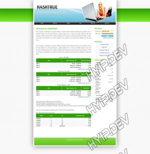 goldcoders hyip template no. 004, home page screenshot