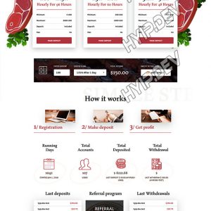 goldcoders hyip template no. 048, home page screenshot