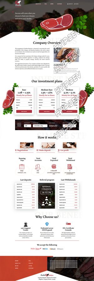 goldcoders hyip template no. 048, home page screenshot