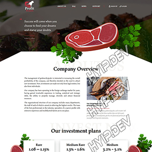 goldcoders hyip template no. 048