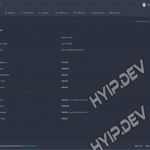 goldcoders hyip template no. 066, account page screenshot