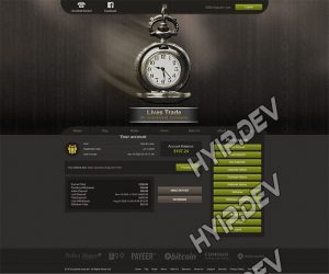 goldcoders hyip template no. 071, account page screenshot