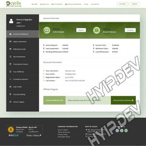 goldcoders hyip template no. 081, account page screenshot