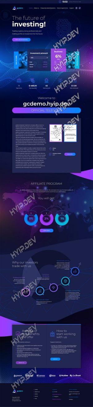 goldcoders hyip template no. 101, home page screenshot