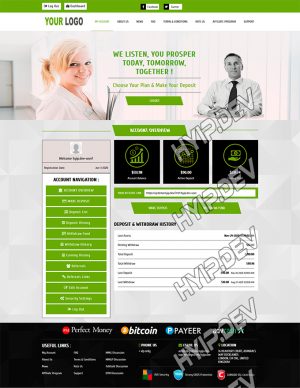 goldcoders hyip template no. 105, account page screenshot