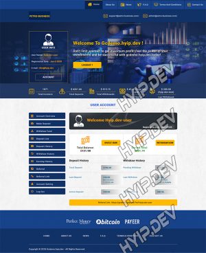 goldcoders hyip template no. 121, account page screenshot