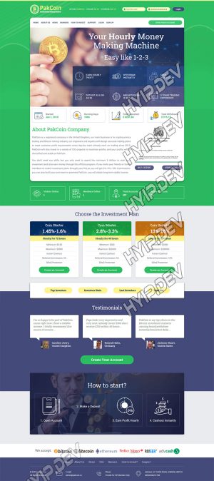 goldcoders hyip template no. 122, home page screenshot