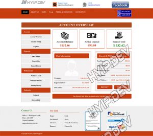 goldcoders hyip template no. 125, account page screenshot
