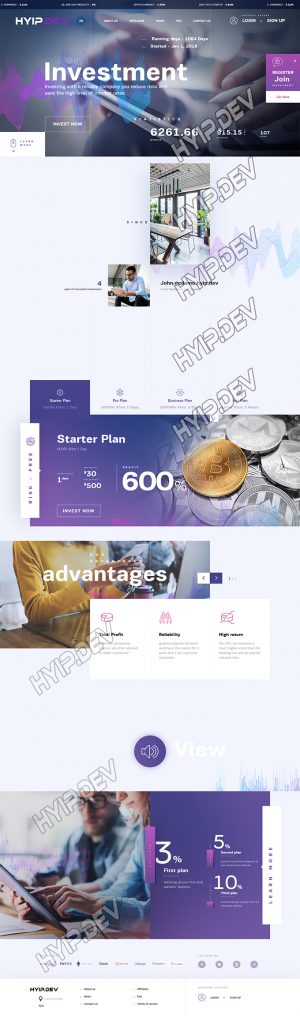 goldcoders hyip template no. 133, home page screenshot