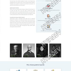 goldcoders hyip template no. 136, about page screenshot