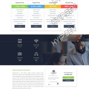 goldcoders hyip template no. 136, home page screenshot