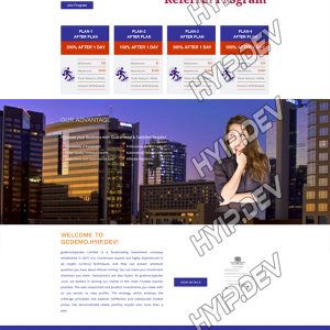 goldcoders hyip template no. 137, home page screenshot