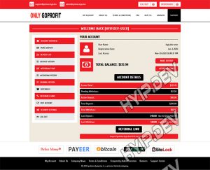goldcoders hyip template no. 139, account page screenshot