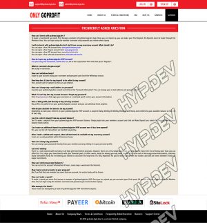 goldcoders hyip template no. 139, default page screenshot