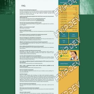 goldcoders hyip template no. 143, default page screenshot