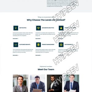 goldcoders hyip template no. 144, about page screenshot