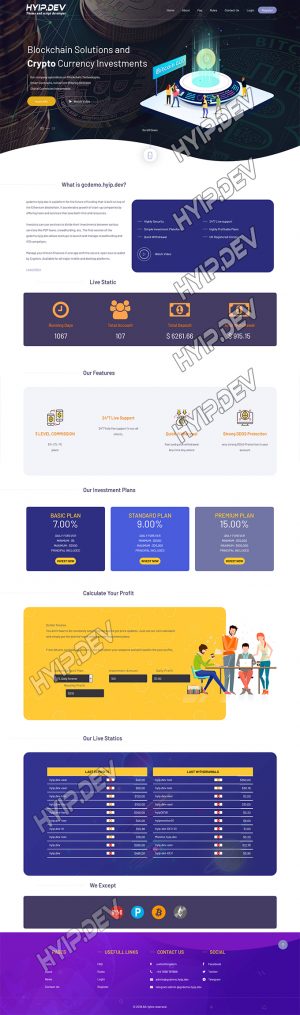 goldcoders hyip template no. 146, home page screenshot