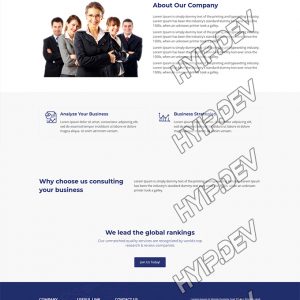 goldcoders hyip template no. 150, about page screenshot