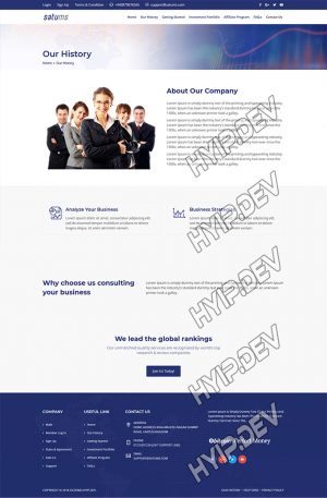 goldcoders hyip template no. 150, about page screenshot