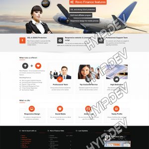 goldcoders hyip template no. 154, home page screenshot
