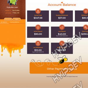 goldcoders hyip template no. 156, account page screenshot