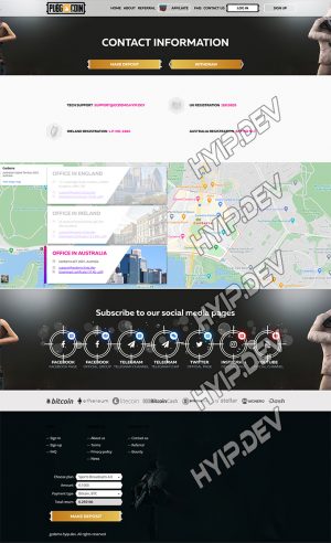 goldcoders hyip template no. 172, support page screenshot
